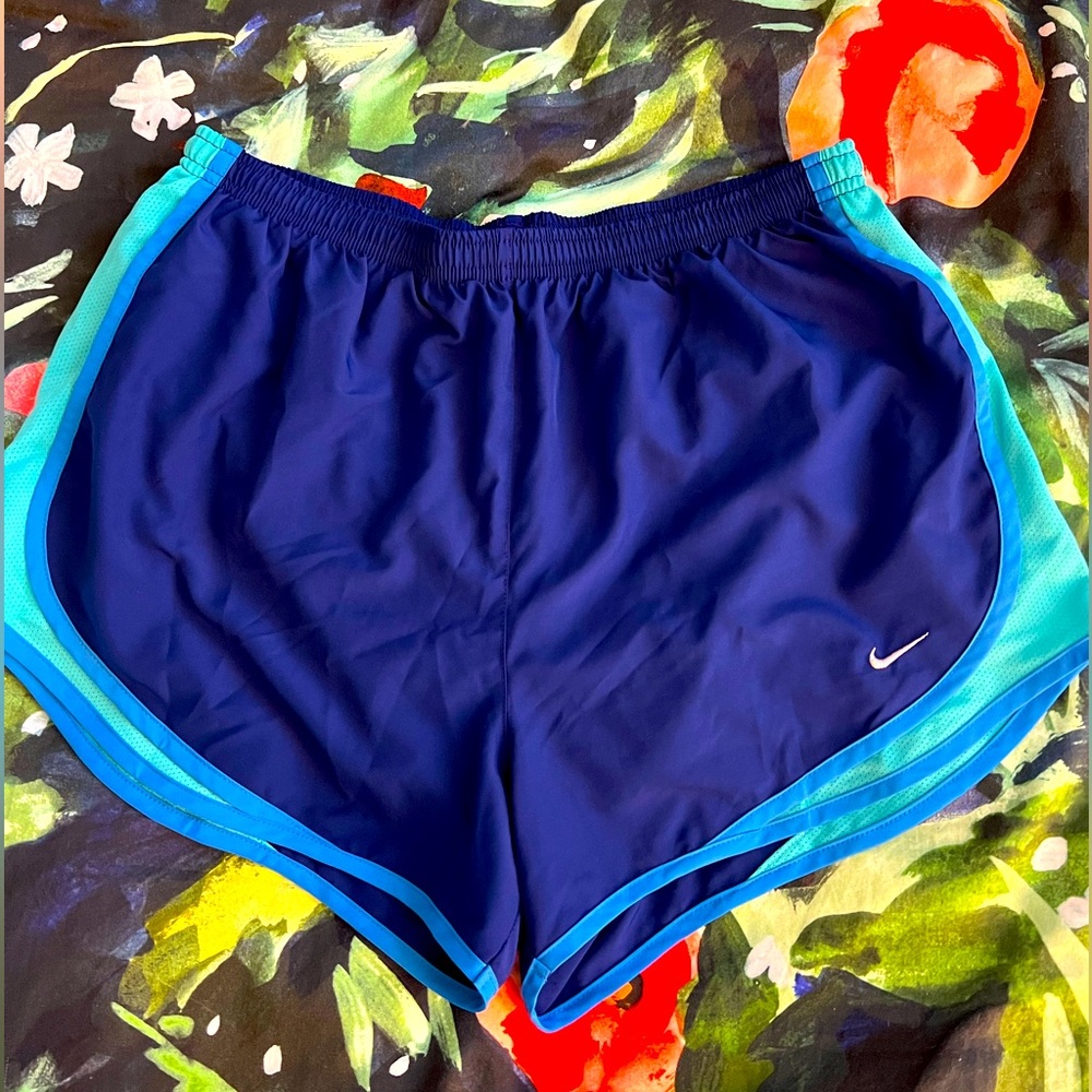 Nike Dri-Fit Shorts Large
